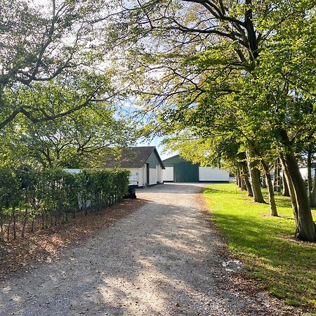 Country Guesthouse Gadstrup Exterior photo